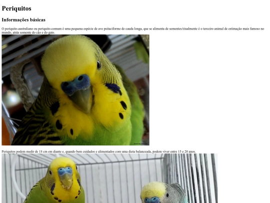 periquitos screenshot