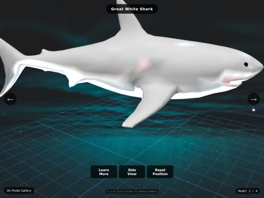 next-page screenshot