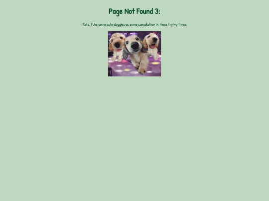 not_found screenshot