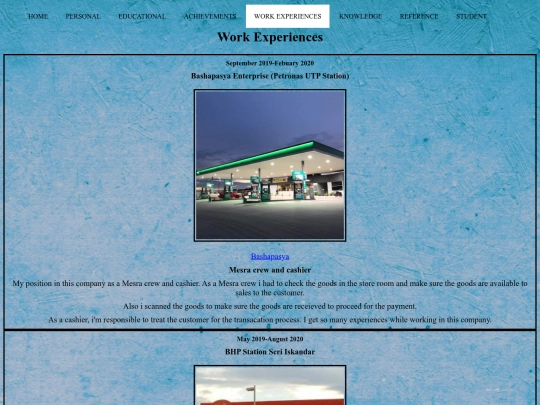 workexperiences screenshot