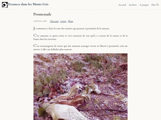 blog/2026-02-05 screenshot