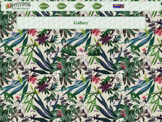Gallery screenshot
