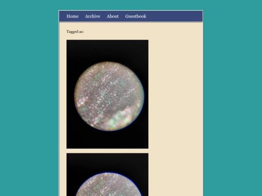 posts/2026-05-31-Kalanchoe-Petal screenshot