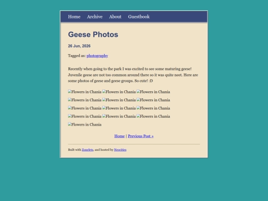 posts/2026-06-26-Geese-Photos screenshot