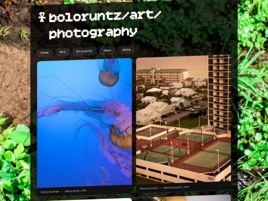 photography screenshot