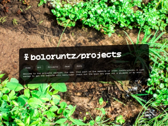 projects screenshot