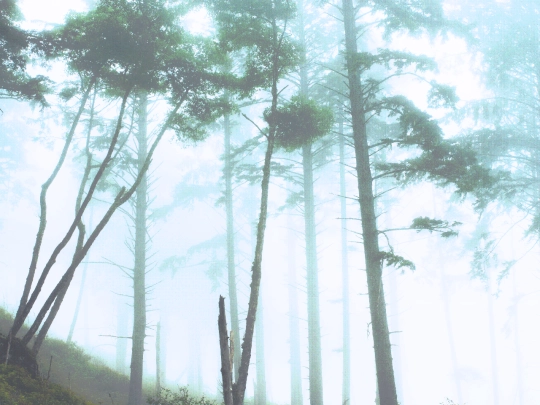 tech screenshot