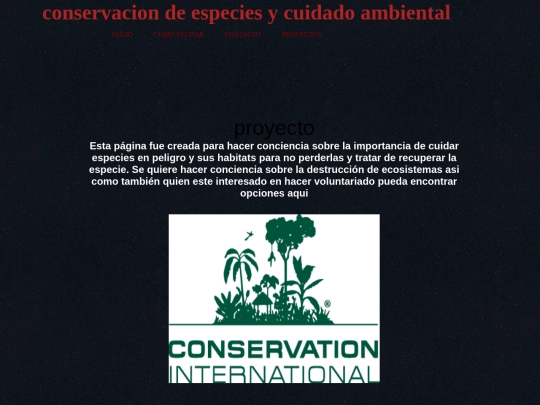 proyecto screenshot