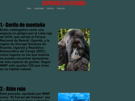 proyecto/paginas/amenaza screenshot