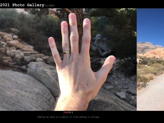 art/galleries/2021_photos screenshot