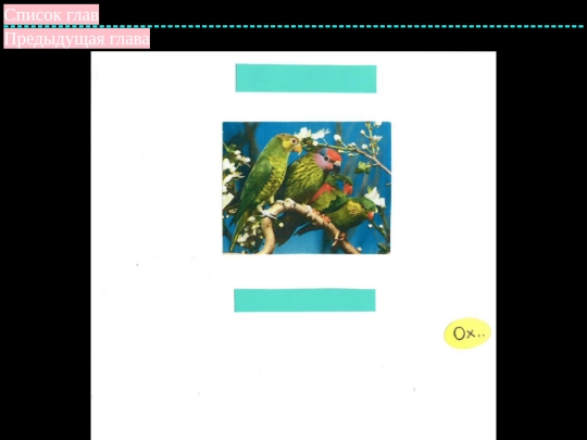 NOUS-4 screenshot