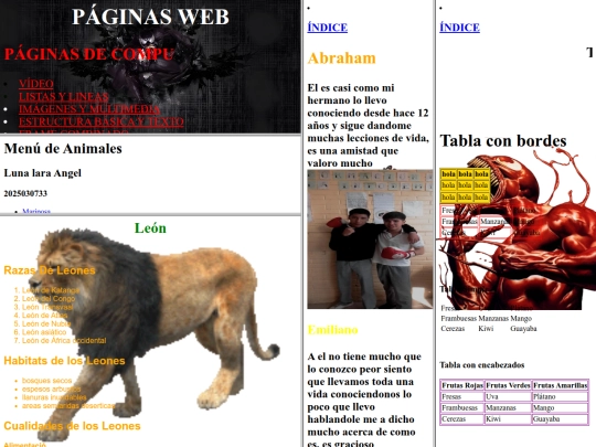 personal/WEB screenshot