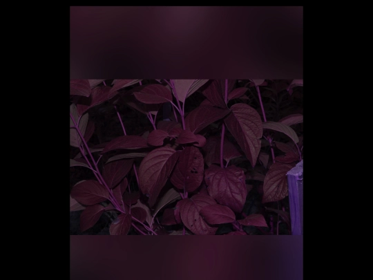 page26 screenshot