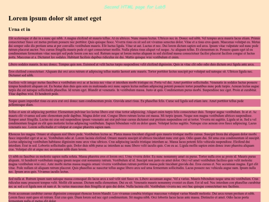 Examples/lab5/Lab5Latin2 screenshot