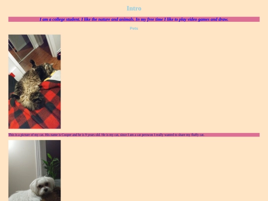 Lab4/Lab4 screenshot