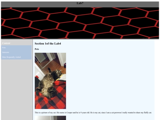 Lab7/Lab7 screenshot