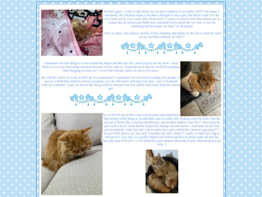 blog/entries/My-kitty screenshot