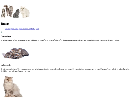 examen final/eva2 screenshot