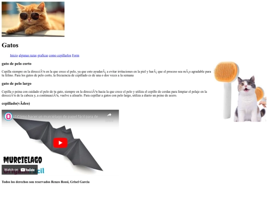 examen final/eva4 screenshot