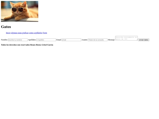 examen final/eva5 screenshot