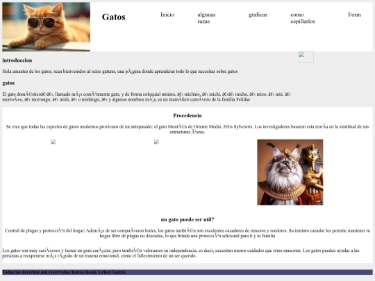examen final/evaa screenshot