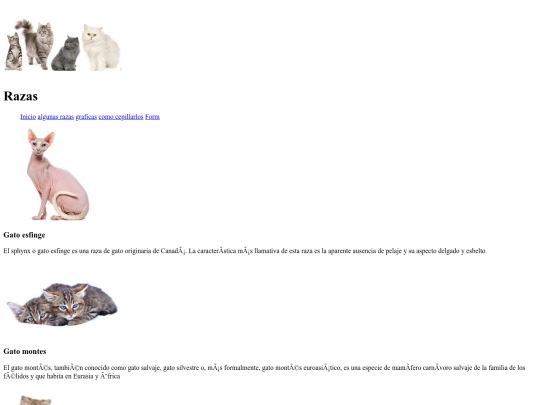 examfinalrealjeje/eva2 screenshot