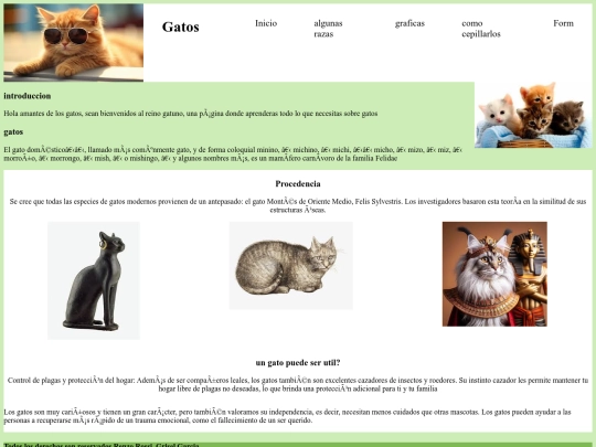 examfinalrealjeje/evaa screenshot