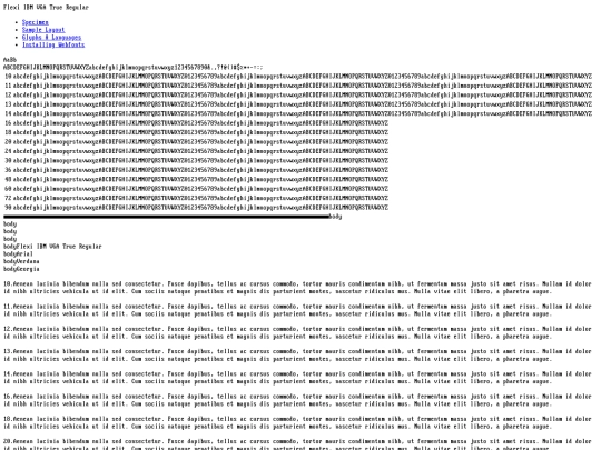 flexi_ibm_vga_true-demo screenshot