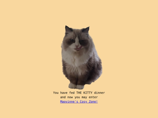 kitty screenshot
