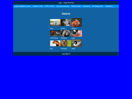 galerie screenshot