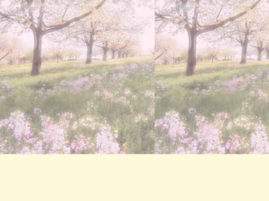 3index screenshot
