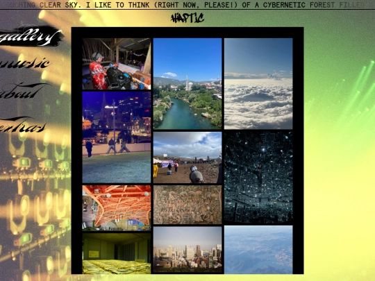 gallery screenshot