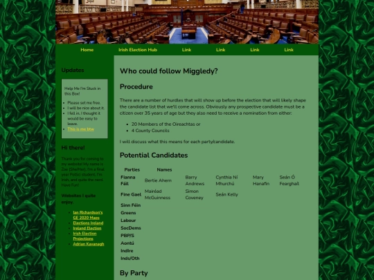 Irish Elections/president screenshot