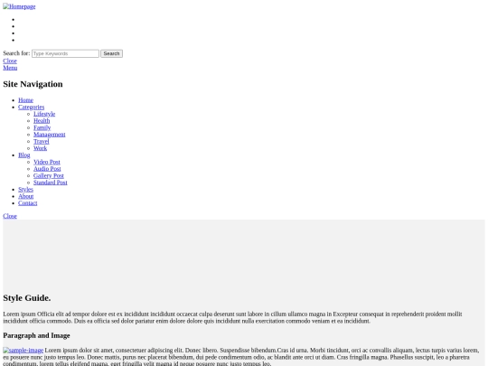 style-guide screenshot
