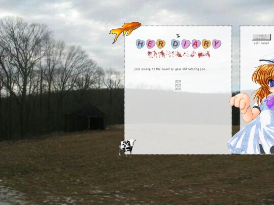 diary/diary screenshot