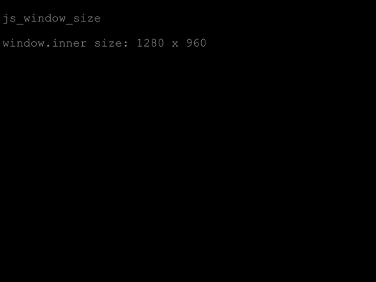 js_window_size screenshot