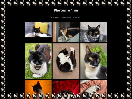 see-me screenshot