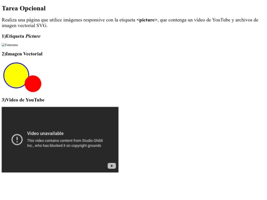 Ejercicio opcional responsive screenshot