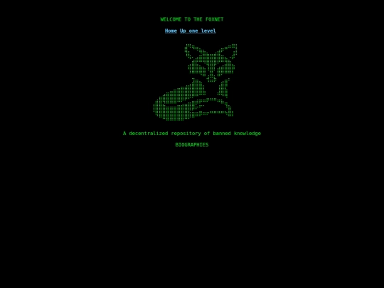 fox_net_project/bios screenshot