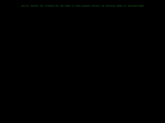 qr-test screenshot