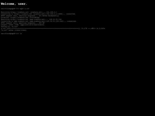 execdl screenshot