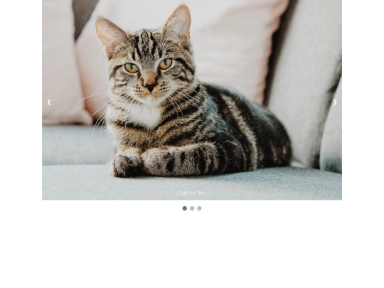 photos screenshot