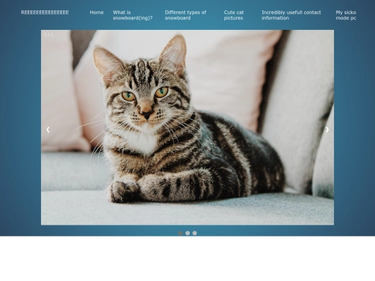 slideshow screenshot