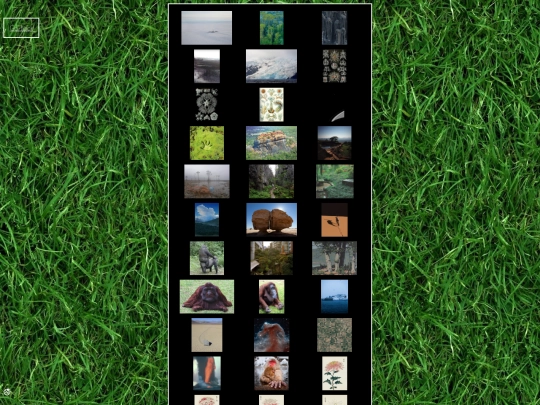 nature screenshot