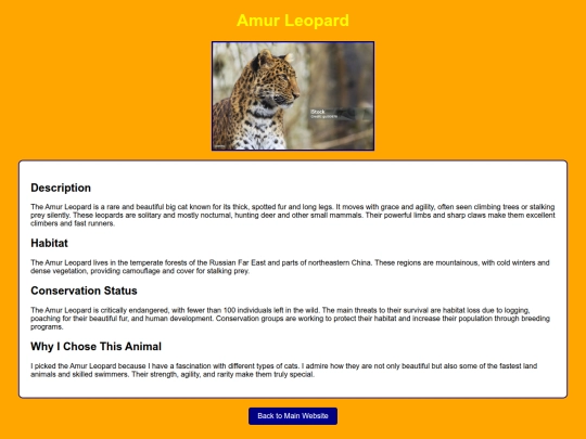 2025/yellowLeopard screenshot