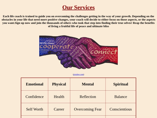 project/services screenshot