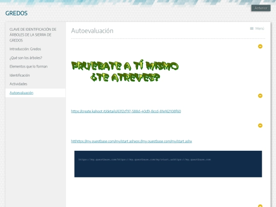 exe/autoevaluacin screenshot