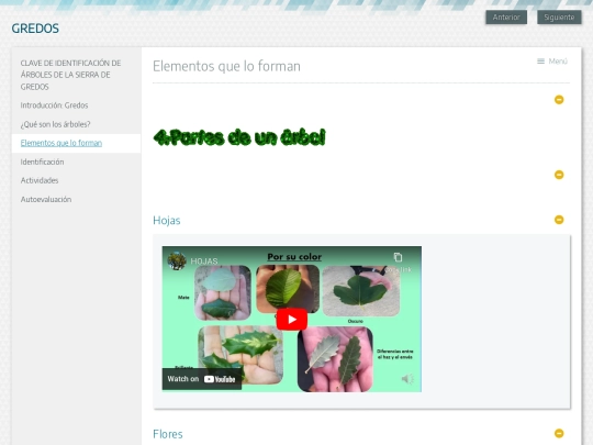 exe/elementos_que_lo_forman screenshot