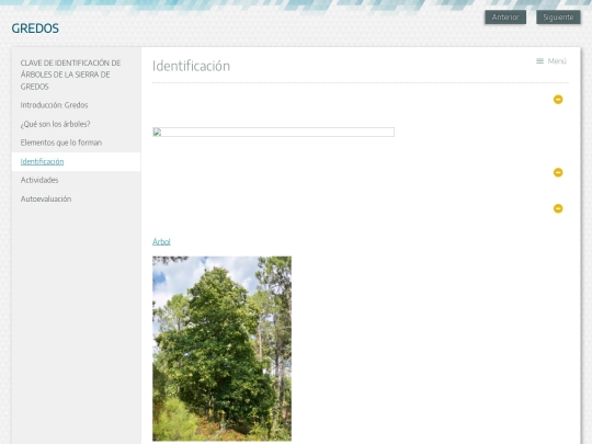 exe/identificacin screenshot