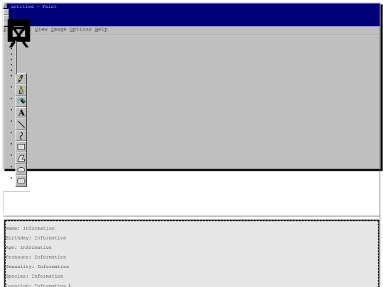 assets/templates/custom-pity screenshot